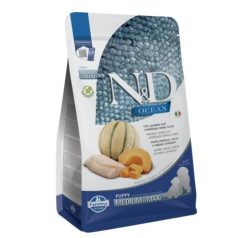 Kutya -  Summer Rush