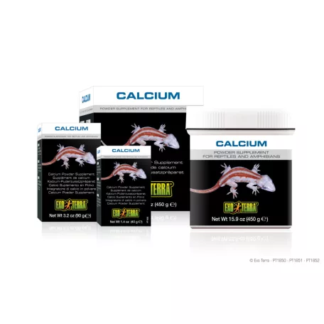 Exo Terra Calcium Powder Supplement | Kálcium por - 90 g