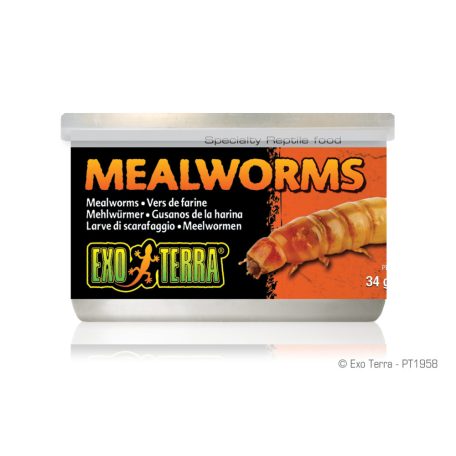 Exo Terra Canned Mealworms | Lisztkukac konzerv - 34 g