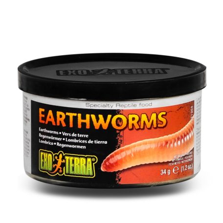 Exo Terra Canned Earthworms | Földigiliszta konzerv - 34 g