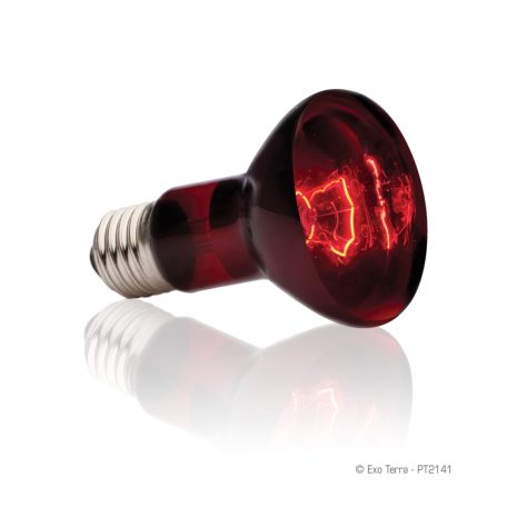 Exo Terra Infrared Basking Spot Lamp | Infravörös melegítő izzó - 50 W