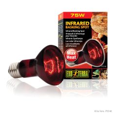   Exo Terra Infrared Basking Spot Lamp | Infravörös melegítő izzó - 75 W