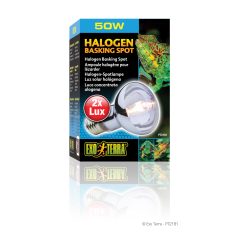   Exo Terra Halogen Basking Spot | Halogén melegítő izzó - 50 W