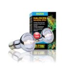 Exo Terra Halogen Basking Spot | Halogén melegítő izzó - 50 W