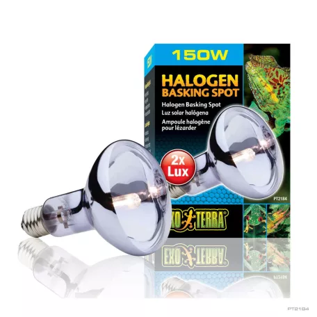 Exo Terra | Halogen Basking Spot | Halogén sütkérező izzó terráriumokhoz – 150 W
