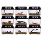 Exo Terra Breeding Box | Tenyésztő doboz - Small