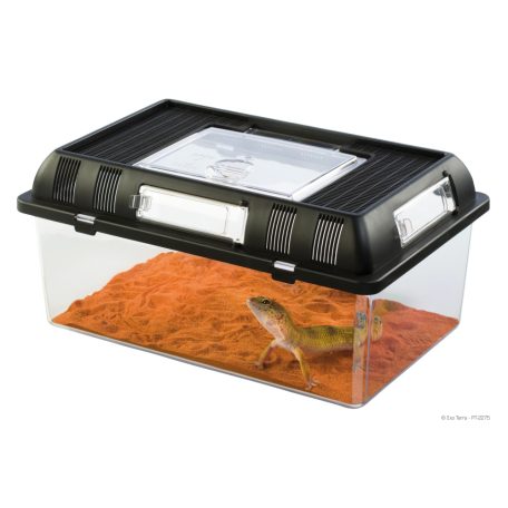 Exo Terra Breeding Box | Tenyésztő doboz - Medium