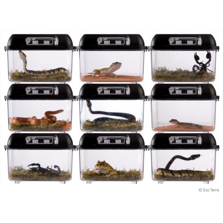 Exo Terra Breeding Box | Tenyésztő doboz - Large