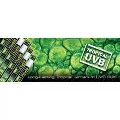   Exo Terra Reptil UVB100 Fénycső - T8 5% (5.0) | 600 mm - 18 W