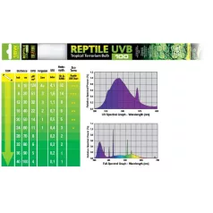   Exo Terra Reptil UVB100 Fénycső - T8 5% (5.0) | 600 mm - 18 W