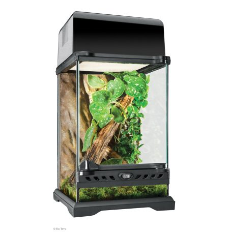 Exo terra Nano Tall Terrarium | Dekoratív üvegterrárium - nano