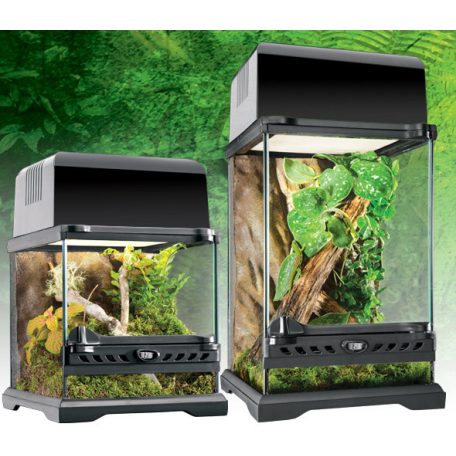 Exo terra Nano Tall Terrarium | Dekoratív üvegterrárium - nano