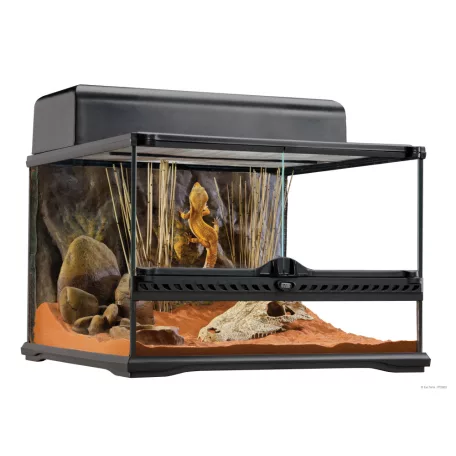 Exo terra Glass Terrarium | Üveg terrárium - Kicsi - 45x45x30cm