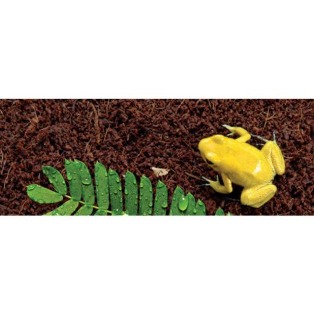 Exo Terra Plantation Soil | Ültetvény talaj - 3x8 L