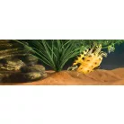 Exo terra Riverbed Sand Brown | Folyómeder homok - 4,5kg