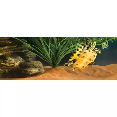 Exo terra Riverbed Sand Brown | Folyómeder homok - 4,5kg