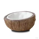 Exo Terra Tiki Coconut Water Dish | Kókuszdió itató tál