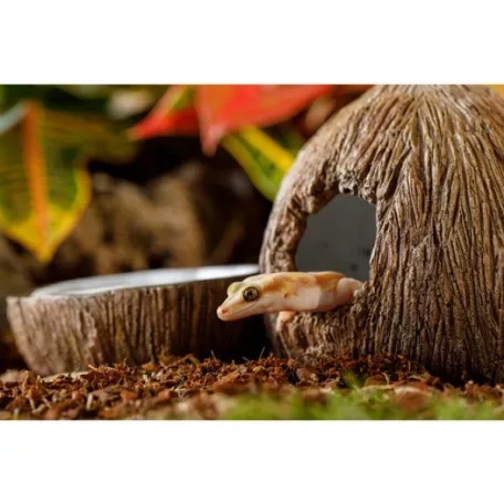 Exo Terra Coconut Hide & Water Dish | Kókuszbarlang és itató
