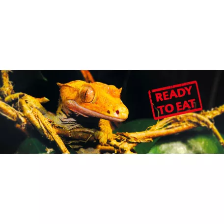 Exo Terra Crested Gecko Food | Vitorlás Gekkó Eledel - 4 db 