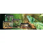 Exo terra Natural Advancer Terrarium | Dekoratív kivitelű üvegterrárium - közepes - 60x45x30cm