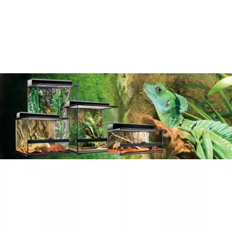 Exo terra Natural Advancer Terrarium | Dekoratív kivitelű üvegterrárium - közepes - 60x45x30cm