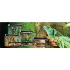 Exo terra Natural Advancer Terrarium | Dekoratív kivitelű üvegterrárium - közepes - 60x45x30cm