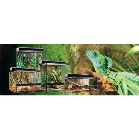 Exo terra Natural Advancer Terrarium | Dekoratív kivitelű üvegterrárium - közepes - 60x45x30cm