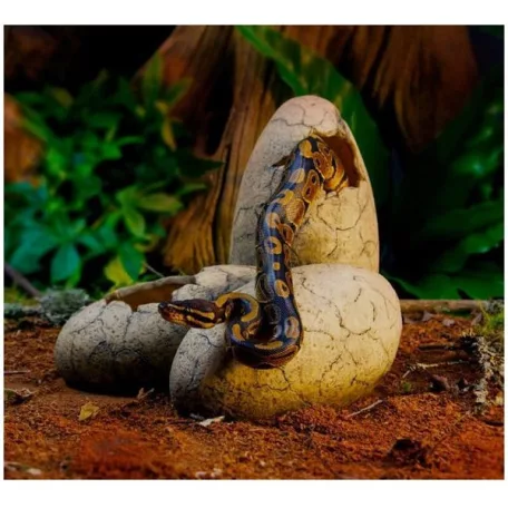 Exo Terra Dinosaur eggs| Dinoszaurusz Tojás Alakú Búvóhely Kicsi Itatóval