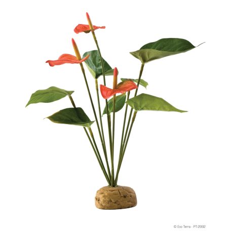 Exo Terra Anthurium Bush | Flamingó virág műnövény