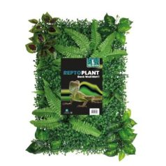   REPTO | PLANT BACK WALL MAT | Növény háttér fal - 40-60 cm 1