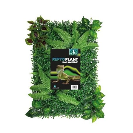 REPTO | PLANT BACK WALL MAT | Növény háttér fal - 40-60 cm 1