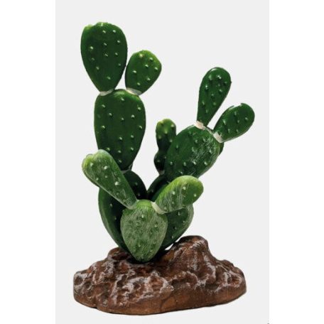 Repto Plant Cactus Opuntia | Kaktusz műnövény