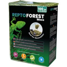 REPTO | SPHAGNUM MOSS | Moha dekoráció - 100 g