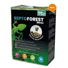 REPTO | FOREST MOSS | Erdei moha dekoráció - 100 g