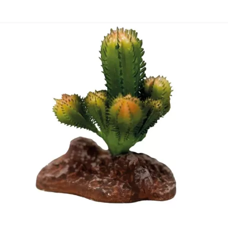 REPTO | PLANT SUCCULENT ON DECO | Műnövény dekoráció - 10 cm