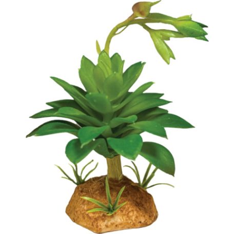 REPTO | PLANT SUCCULENT GREEN, műnövény dekoráció, zöld színű - 6x6x12 cm