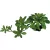REPTO | PLANT SUCCULENT GREEN XL | Műnövény dekoráció, zöld színű - XL