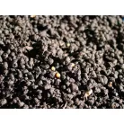 Arcadia | EarthMix Arid | Bioaktív terráriumi talajkeverék szárazságtűrő hüllők számára – 5 liter