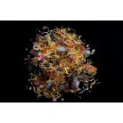 Arcadia | EarthPro FlowerBoost | Szárított virágkeverék növényevő hüllők számára – 60 g 