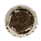 Arcadia | EARTH PRO OMNI GOLD | Teljes értékű fehérjedús táplálék rovar-és növényevő hüllők számára – 300 g