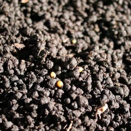 Arcadia | Earth Pro Bio-Revitaliser | Bioaktív talajtáp ásványi anyagokkal hüllők és kétéltűek számára – 450 g