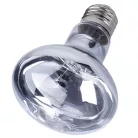 Repti Zoo Day light Spot Neodimyum | melegítő izzó - 50 W