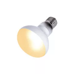Repti Zoo Beam Spot | Melegítő spot izzó - 35 W