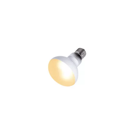 Repti Zoo Beam Spot | Melegítő spot izzó - 60 W