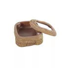 Repti Zoo | Kukacetető tál | Mágneses szökésgátló peremmel rovarevők etetéséhez – 10×15,5×3 cm