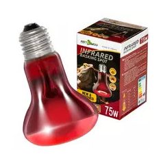   Repti Zoo Infrared Basking Spot | Infravörös hősugárzó izzó - 75W