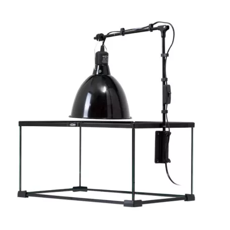 Repti Zoo Lamp Stand | Lámpatartó