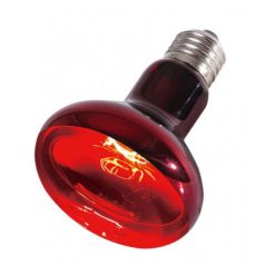   Repti Zoo Infrared Heat Spot Lamp | Infravörös melegítő izzó - 50 W