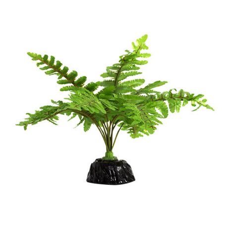 Repti Zoo Boston Fern | Talpas műnövény páfrány - 15 x 15 cm