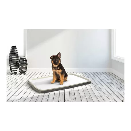  Puppy Trainer Starter Kit XL 